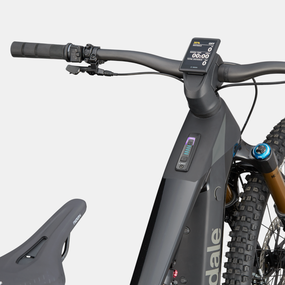 e-BIKE CANNONDALE MOTERRA CRB 1 AM BBQ